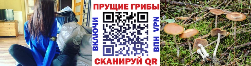 Галлюциногенные грибы мицелий Фёдоровский